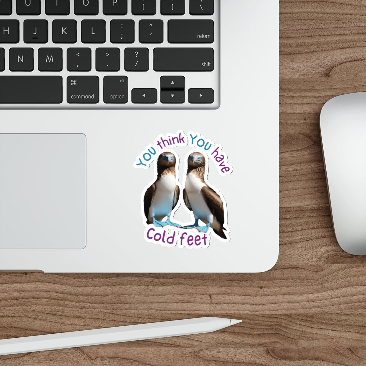 Cold Feet Never Looked So Cute!